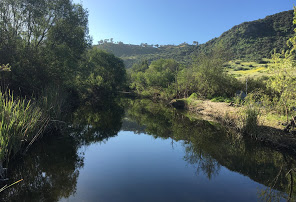 Aliso Viejo's Incredible Senior Movers 2 aliso viejo creek trail